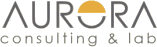 Aurora Consulting & Lab